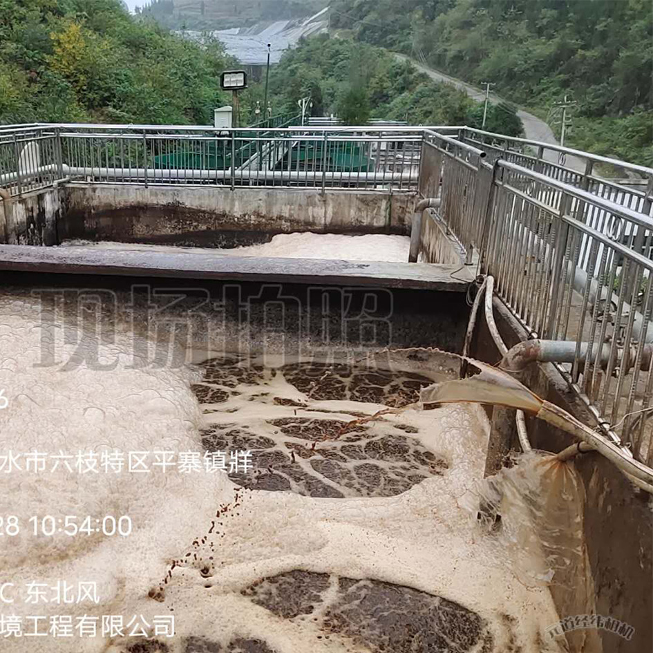 糖心LOGO免费观看渗滤液处理中泡沫产生的危害